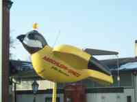 Sculpture of a sparrow with yellow flashing headlamp, radio antenna, and rear car hoist