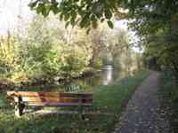 Path along stream