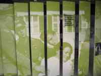 Green panels display image of Sophie Scholl in hands of Nazis