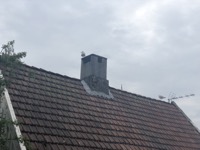 Birds on roof