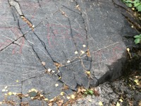 Mesolithic rock carvings