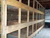 Three levels of eight wooden bunks with partitions between the bunks