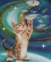 Kitten pawing at spiral galaxies