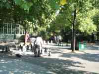 People playing chess in a park with pieces over a foot high