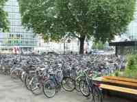 Several hundred bicycles