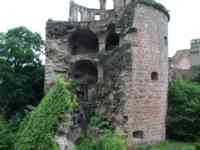 Ruined castle tower with vegetation growing over a fallen part