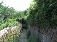 Stone-walled path through foliage down a mountainside