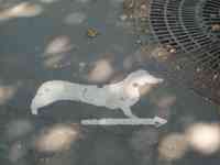 Dog image with arrow painted on sidewalk