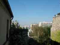 View of Paris over vine-covered wall and tree