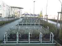 Rows and rows of bicycle racks