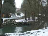 Fork in stream, with snow-covered banks