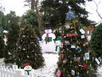 Snowman and skowkids surrounded by decorated Christmas trees