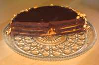 Sliced cake with layers of chocolate cake, peanut butter, and chocolate ganache.