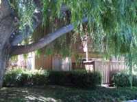 Apartment and patio under willow tree