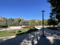 Park near Palacio de la Aljafería