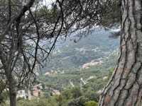 View of Barcelona hillsides from Tibidabo