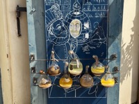 Speculum Alchemiæ door