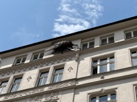 Insect sculpture, name unknown