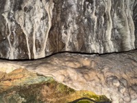 Log in the silver mine