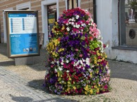 Town flower decoration