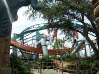 Intertwined red and blue roller coasters