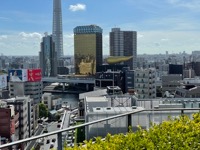 Asakusa from hotel roof