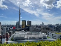 Asakusa from hotel roof