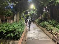 Urban garden path