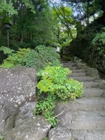 Path to Tōshō-gū