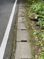Drain/gutter/walkway near Tōshō-gū