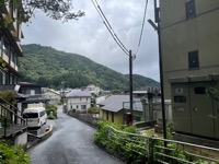 View descending from Hotel Mizno