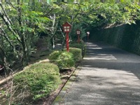 Path from Chuereito Pagoda