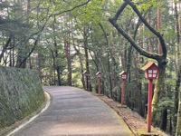 Path from Chuereito Pagoda