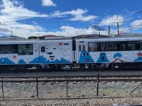 Decorated Fujikyu Railway cars