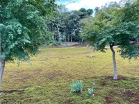 Kinkakujji-mae (Golden Pavilion)