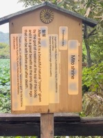 Near Sagano Bamboo Forest, translated