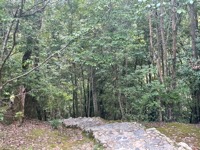 Near Sagano Bamboo Forest