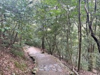 Near Sagano Bamboo Forest