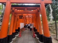 Fushimi Inari-taisha