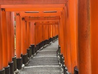 Fushimi Inari-taisha