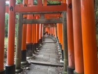 Fushimi Inari-taisha