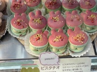 Over Macaron