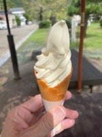 Soft-serve ice cream at Sasagayama and Kaiko Store