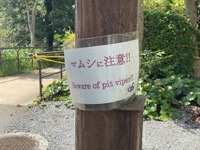 Beware of pit viper sign
