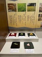 Desserts at Matsue History Museum