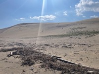 Tottori Sand Dunes