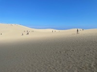 Tottori Sand Dunes