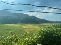 View from train from Iwami to Tottori