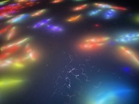 teamLab Planets: Drawing on the Water Surface Created by the Dance of Koi and People - Infinity