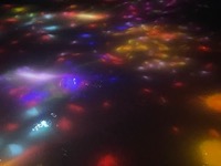 teamLab Planets: Drawing on the Water Surface Created by the Dance of Koi and People - Infinity